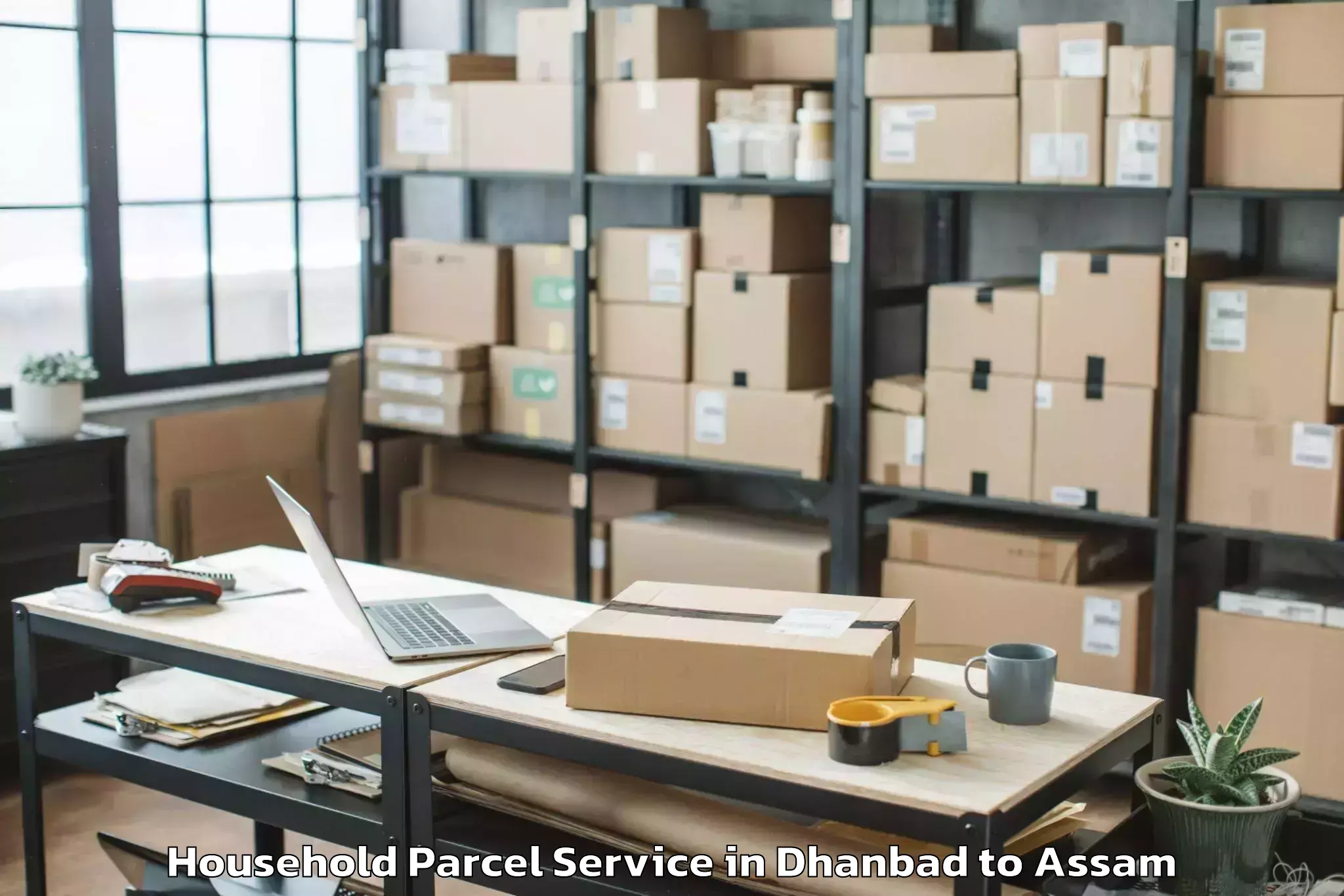 Professional Dhanbad to Biswanath Charali Household Parcel